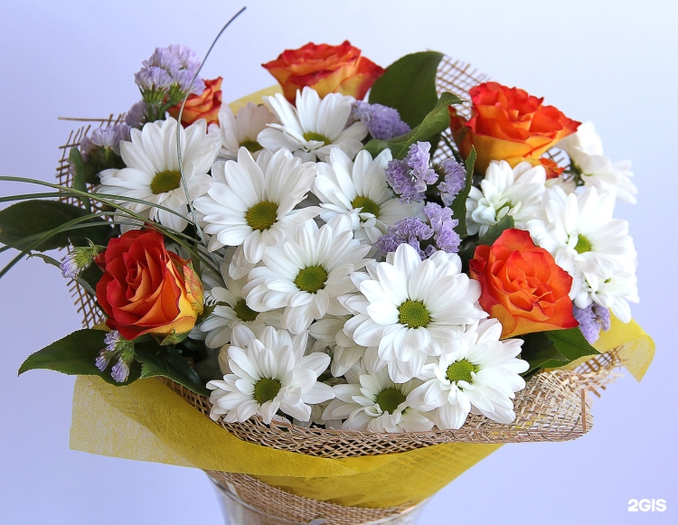 Открытки с днем рождения хризантемы