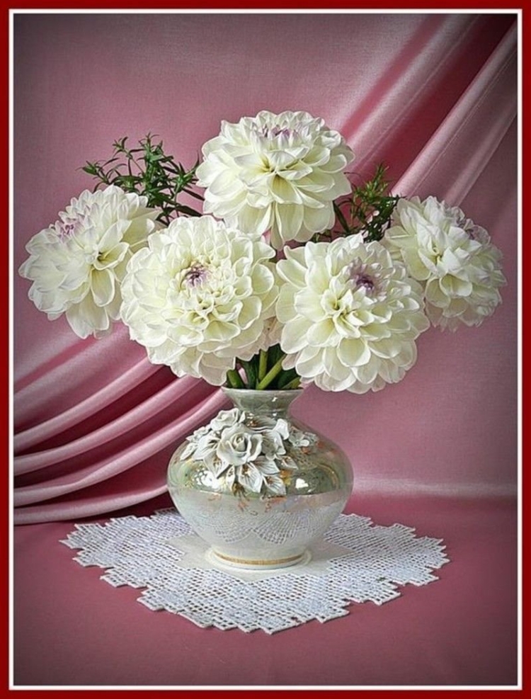 Белые георгины в вазе