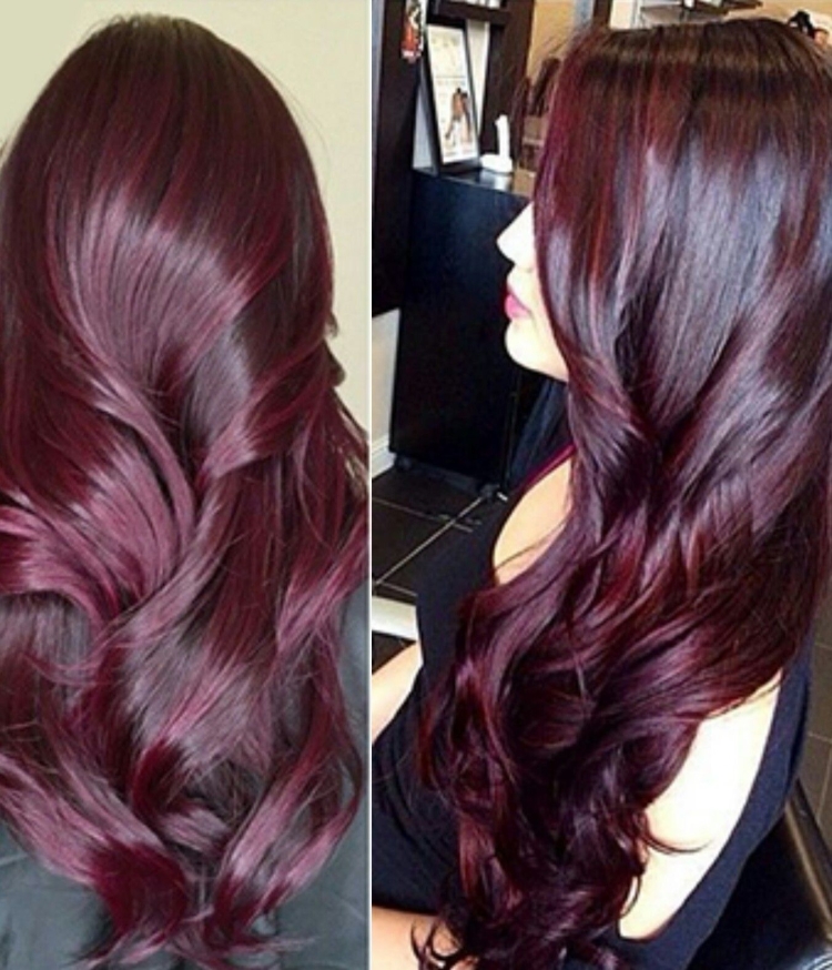 Марсала цвет волос 6-80