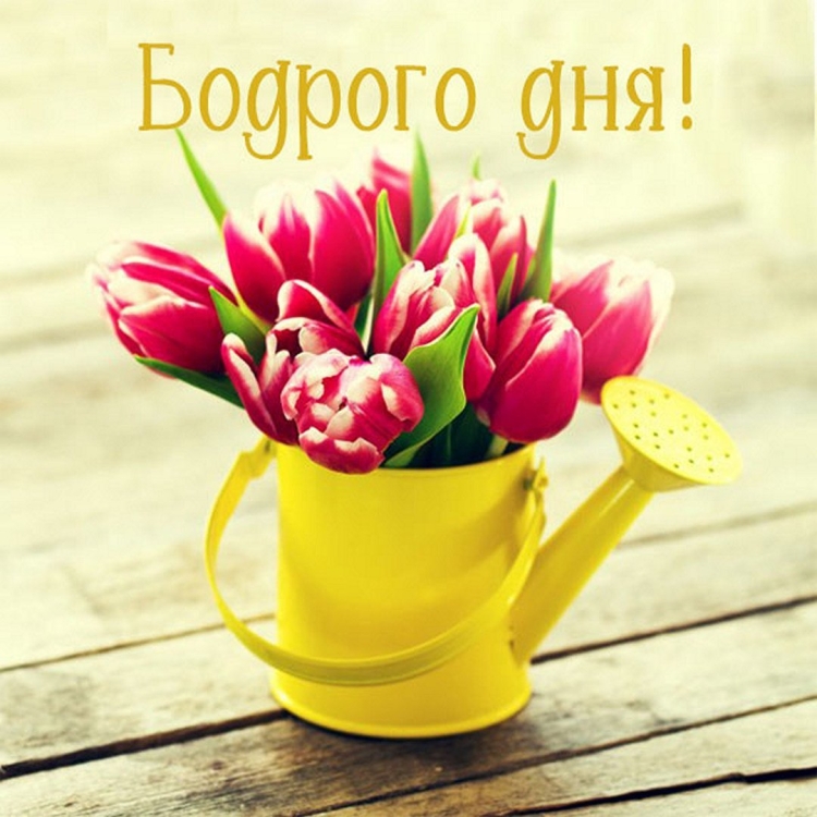 Скорейшего выздоровления открытка