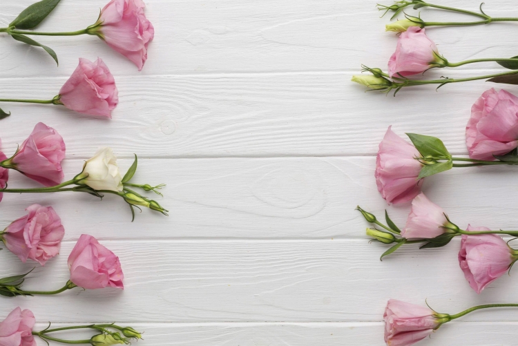 Фотофон розы