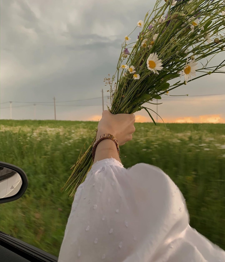 Полевые цветы букет Эстетика