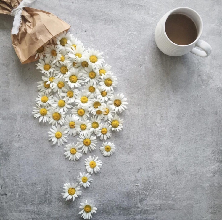 Позитивная Ромашка