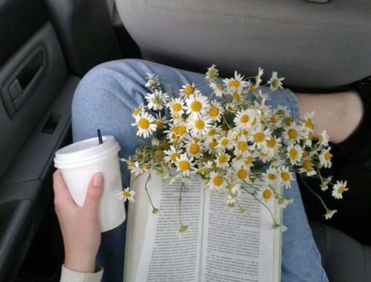 Полевые цветы в машине