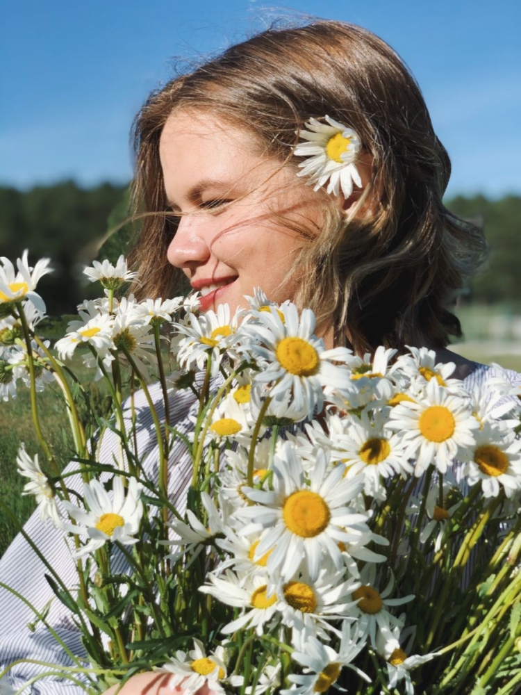 Цветы ромашки но не ромашки