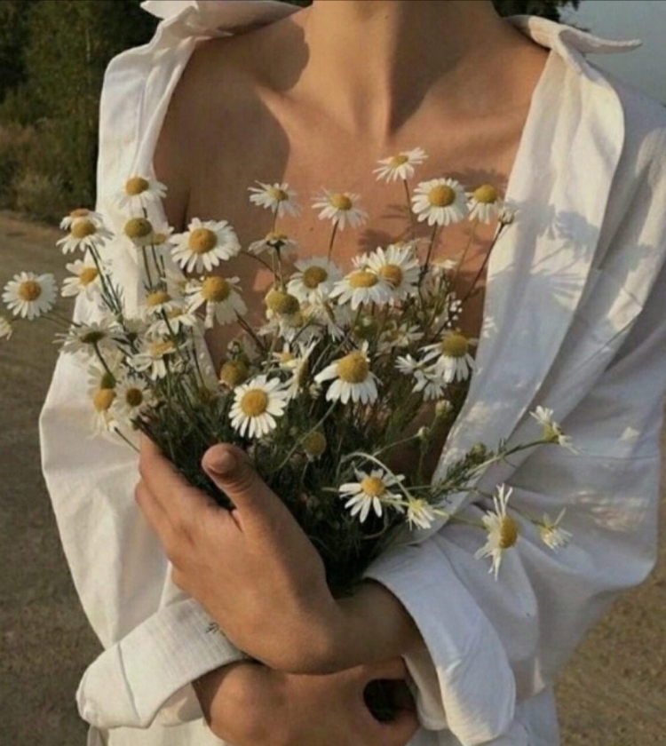 Геншин Эстетика