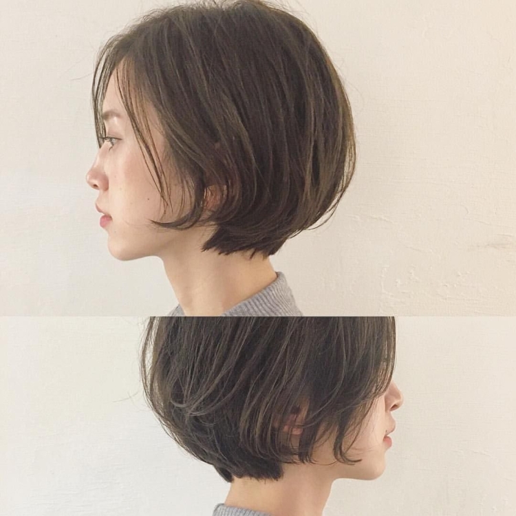 Пиксибоб стрижка корейская цветная