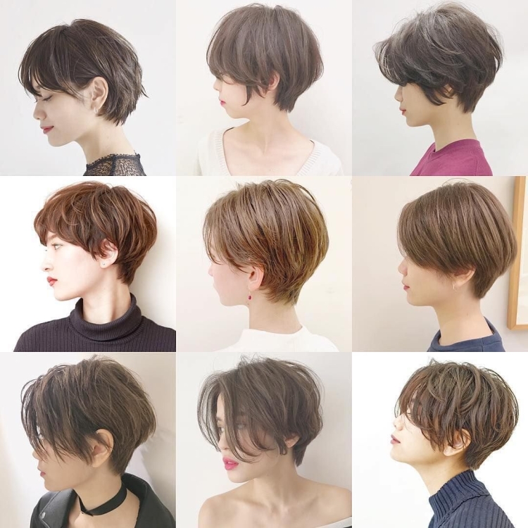 Pixie Bob стрижка Корея