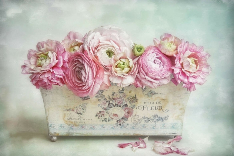 Иллюстрации в стиле шебби Шик