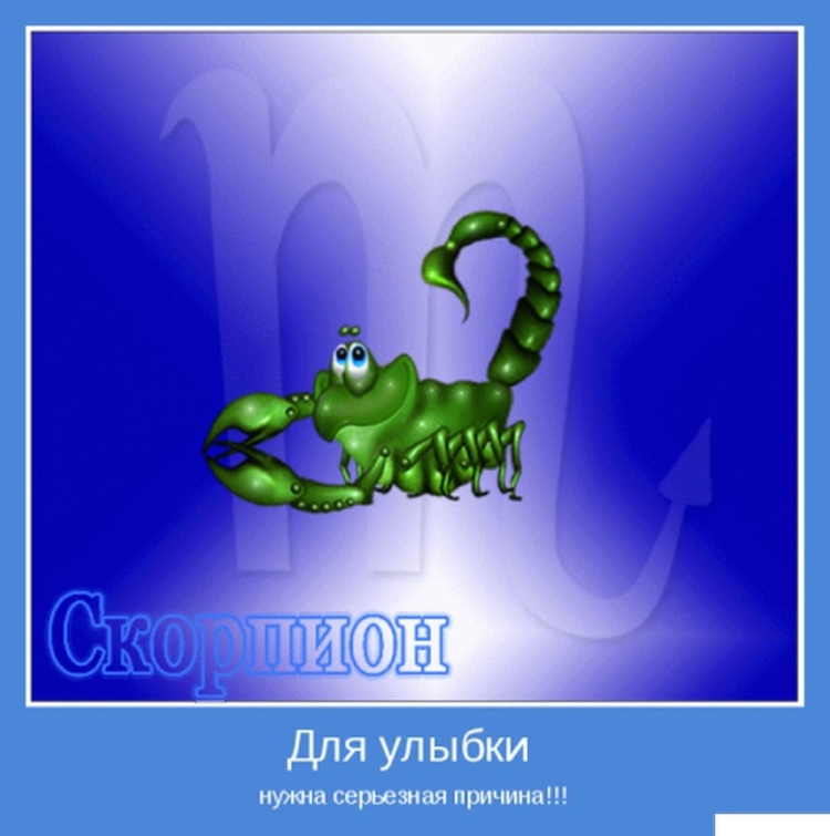 Скорпион открытка