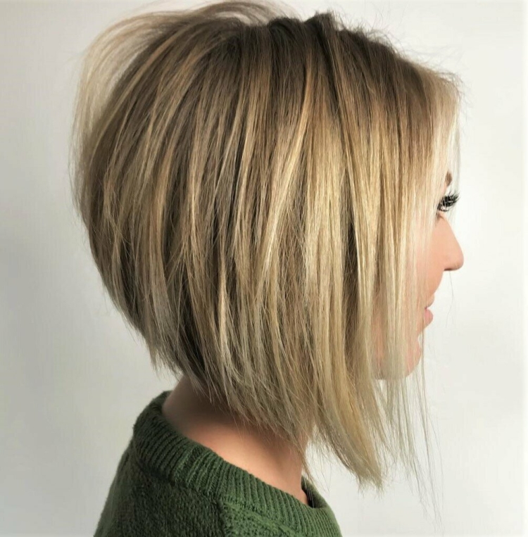 Градуированный Лог Боб