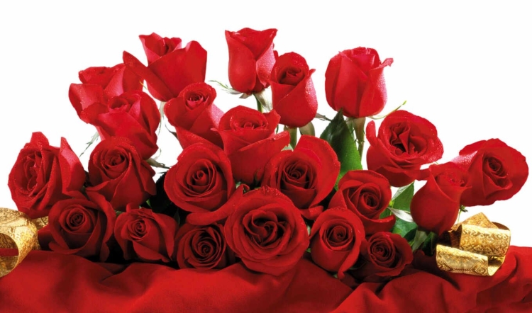 С днём рождения розы