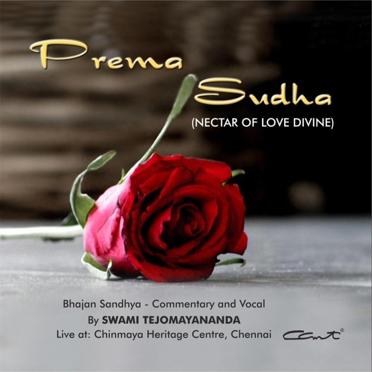 Красивые фразы про розы