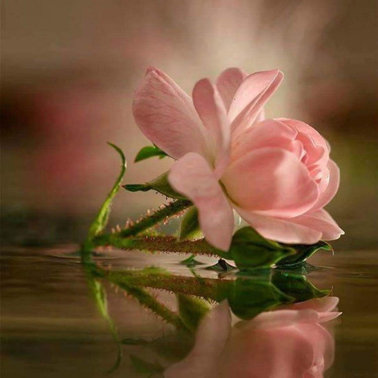 Красивые строки о жизни