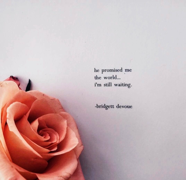 Цитаты про цветы из книг