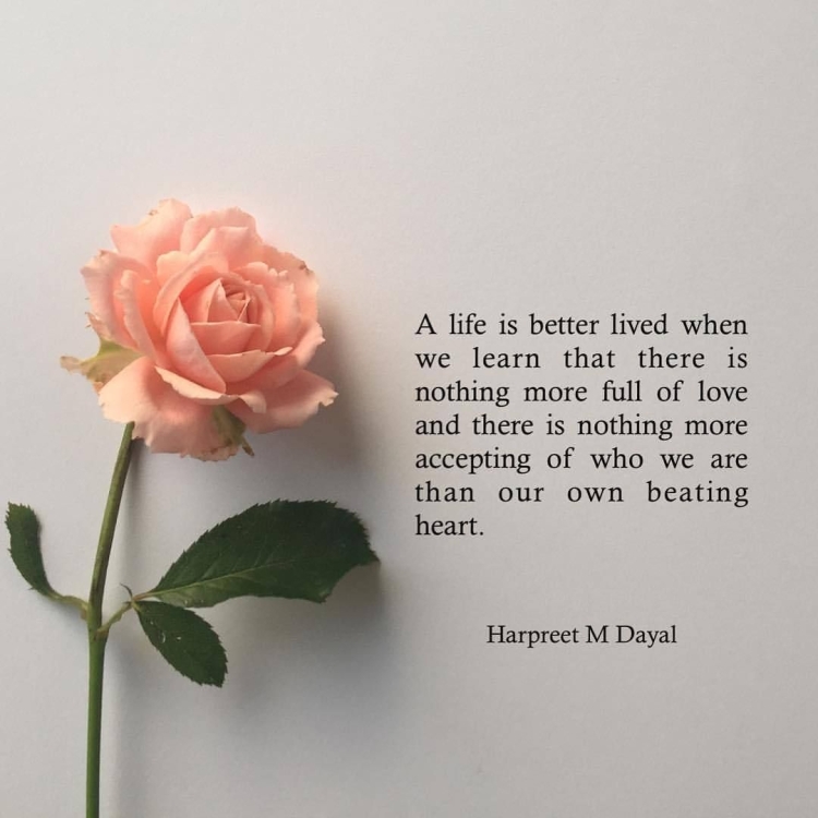 Красивые высказывания о розах