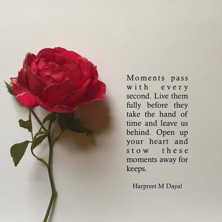 Цитаты про розы