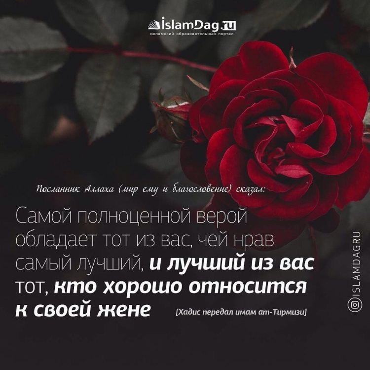 Красивые хадисы