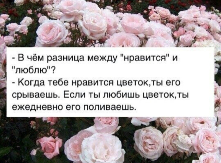 В чем разница между Нравится и люблю