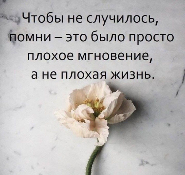 Цитаты про жизнь