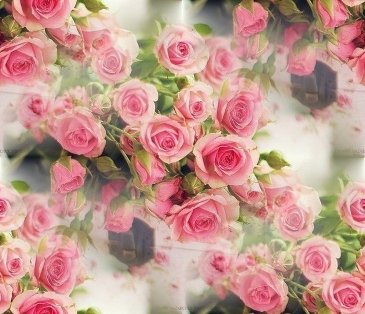 Цветы для Лизы