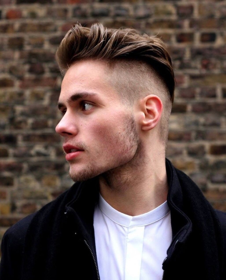 Андеркат британка мужская