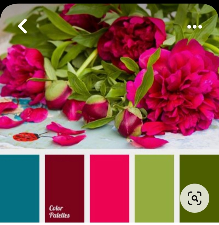 Сочетание цветов малиновый