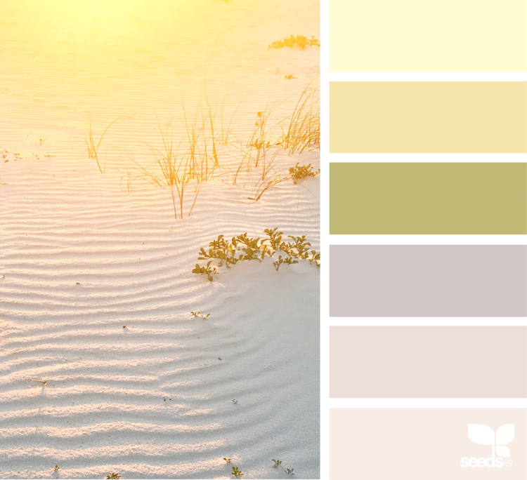 Сочетание цветов песочный