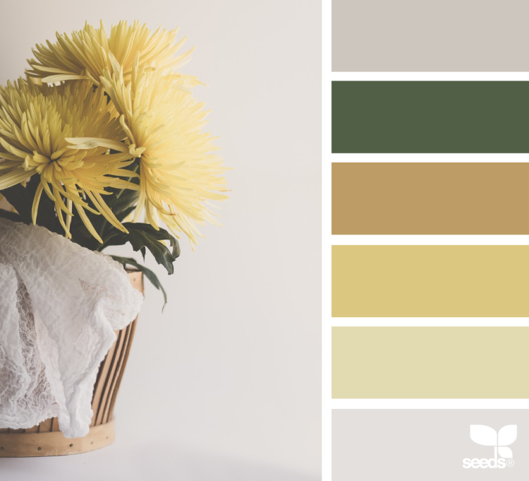 Сочетание цветов с бежевым