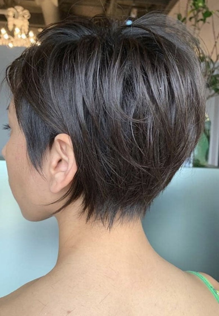 Пикси Боб с коротким затылком