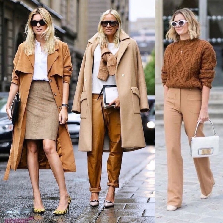 Цвет кэмел в одежде сочетание