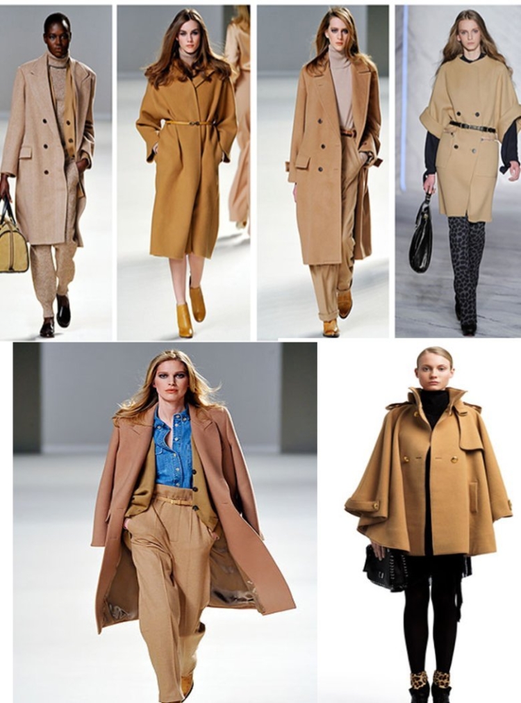 Цвет кэмел сочетание