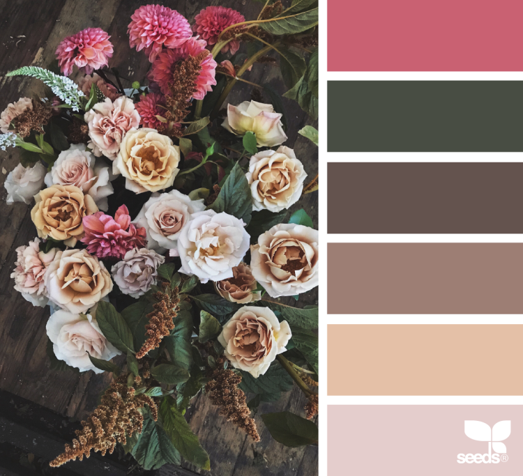 Оттенки мокко палитра