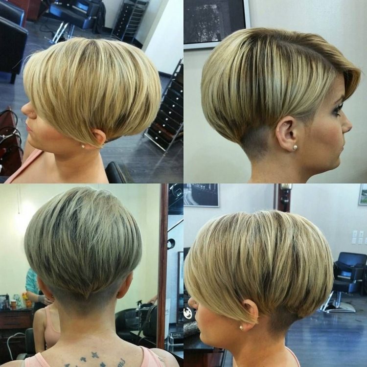 Стрижка Пикси Боб сзади