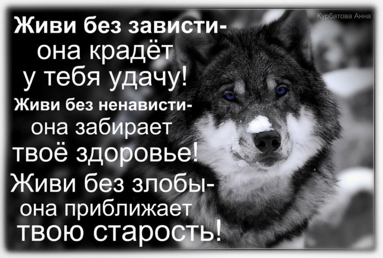 Статусы про зависть