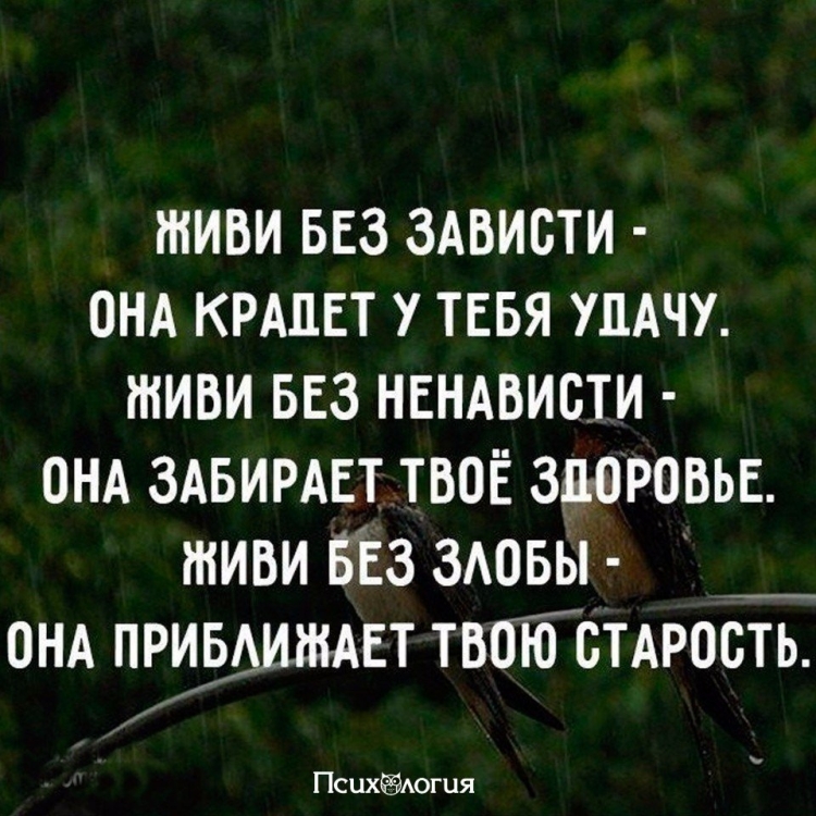 Живи без зависти она крадет у тебя удачу