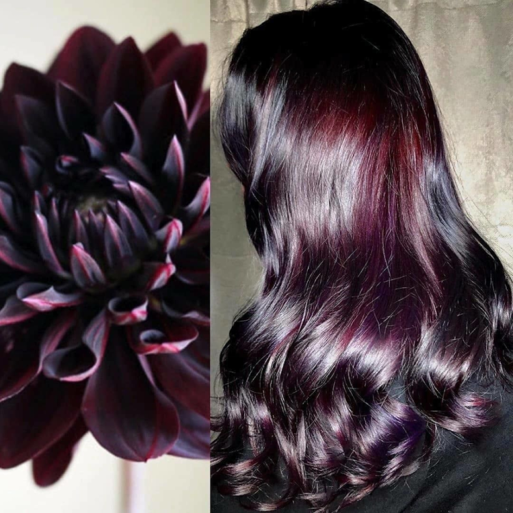 Цвет волос черный георгин