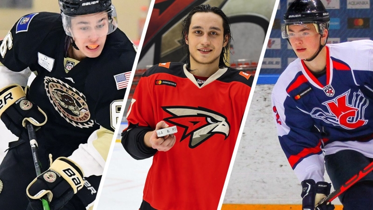 Даниил Гущин хоккей