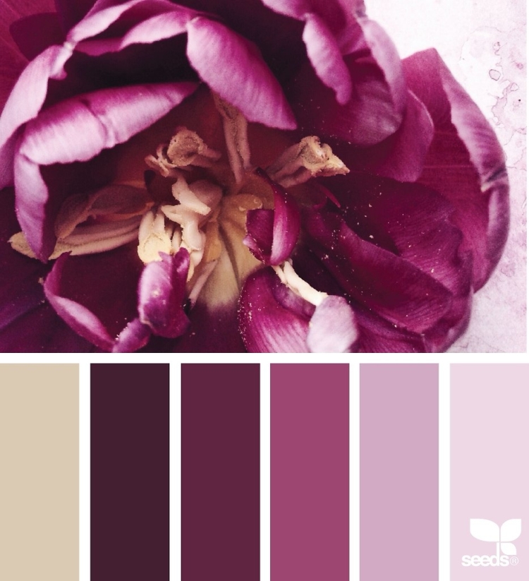 Сочетание цветов сливовый