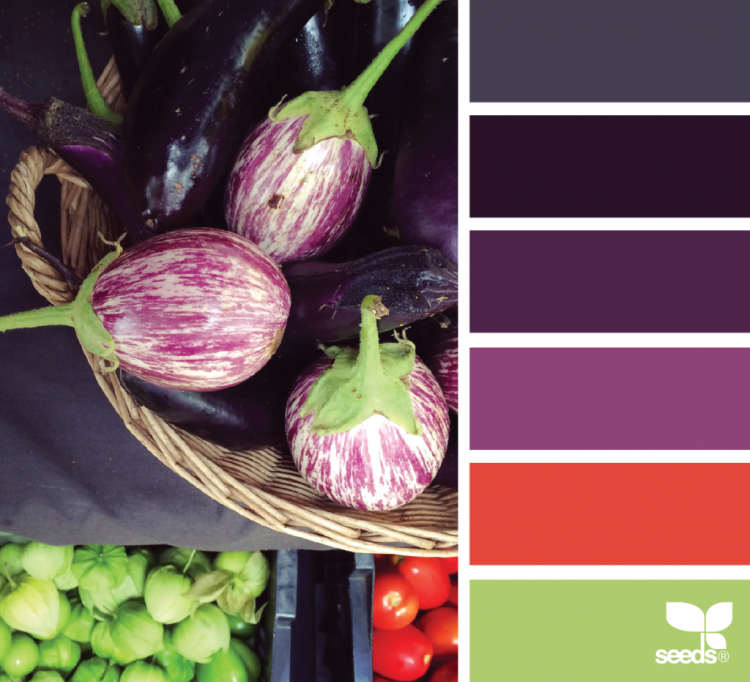 Палитра баклажановых оттенков