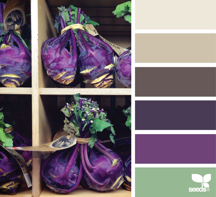 Сочетание цветов баклажановый