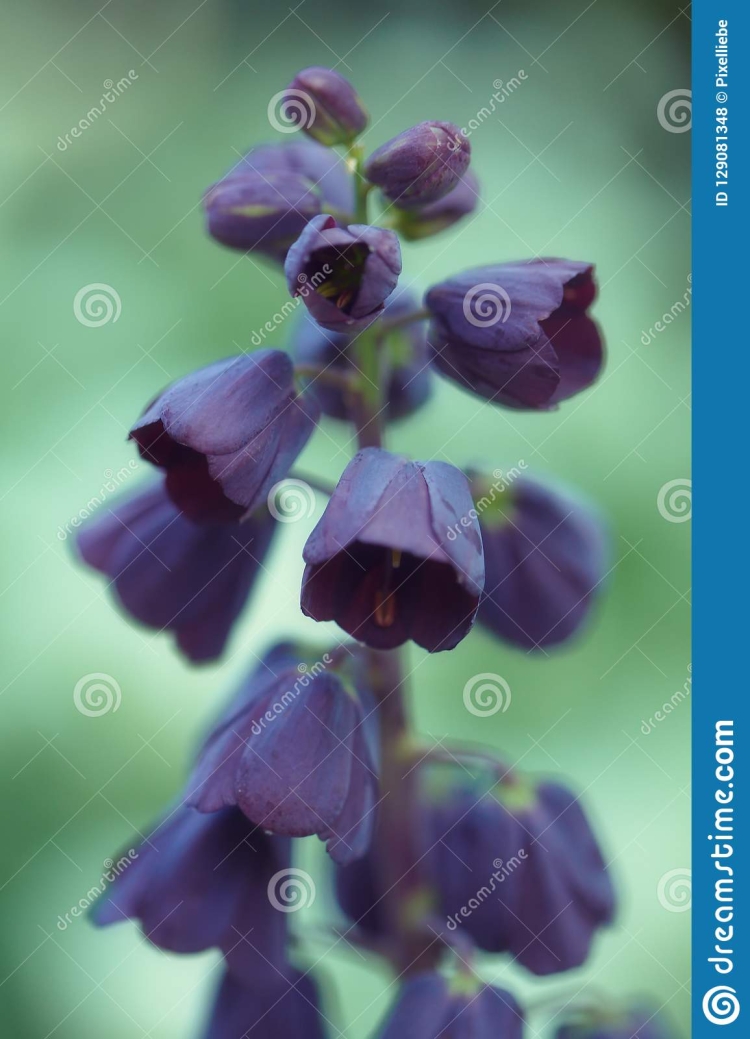 Цветовая палитра