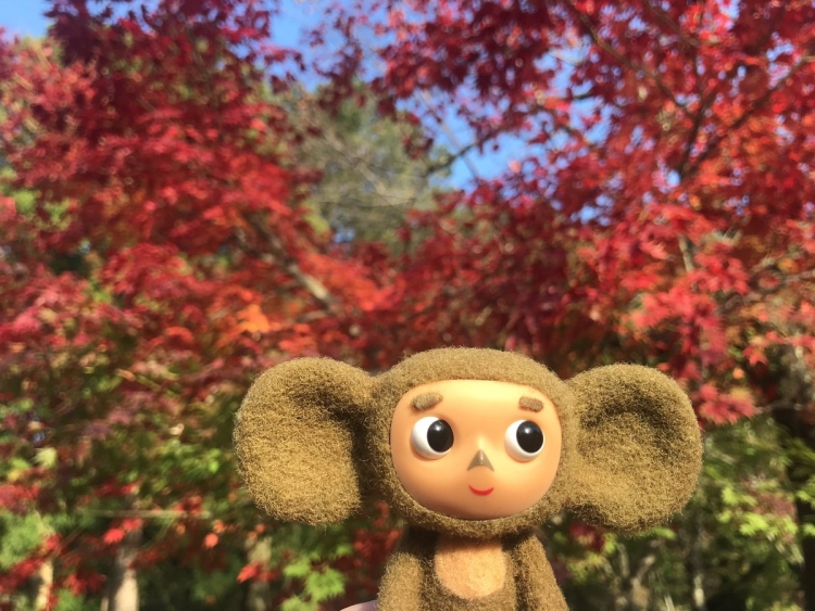 Чебурашка мультфильм 2009