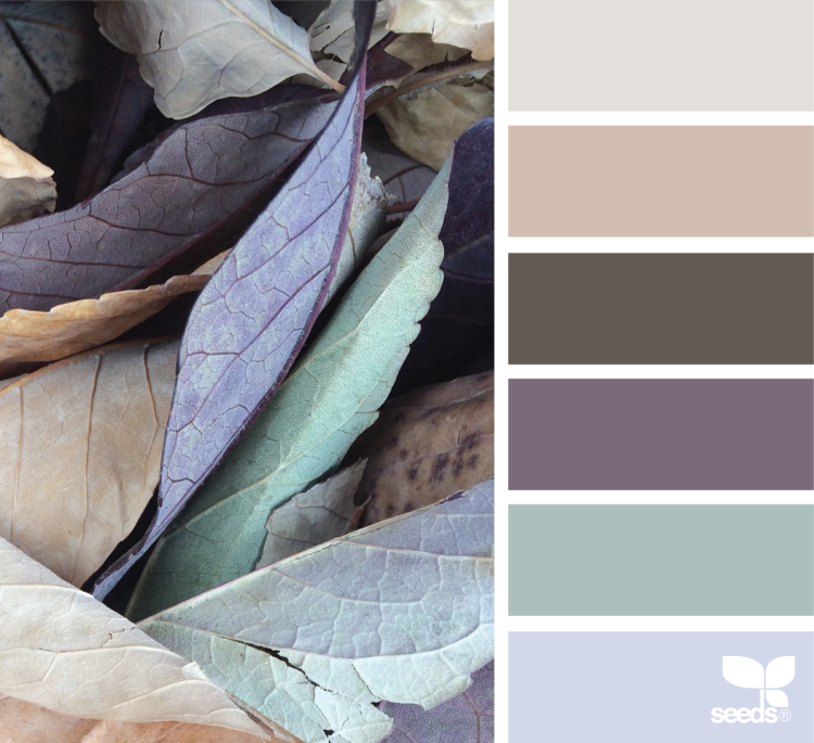 Серо коричневая палитра