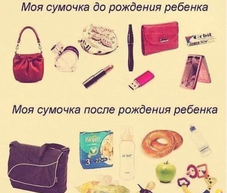 Цитаты про сумки