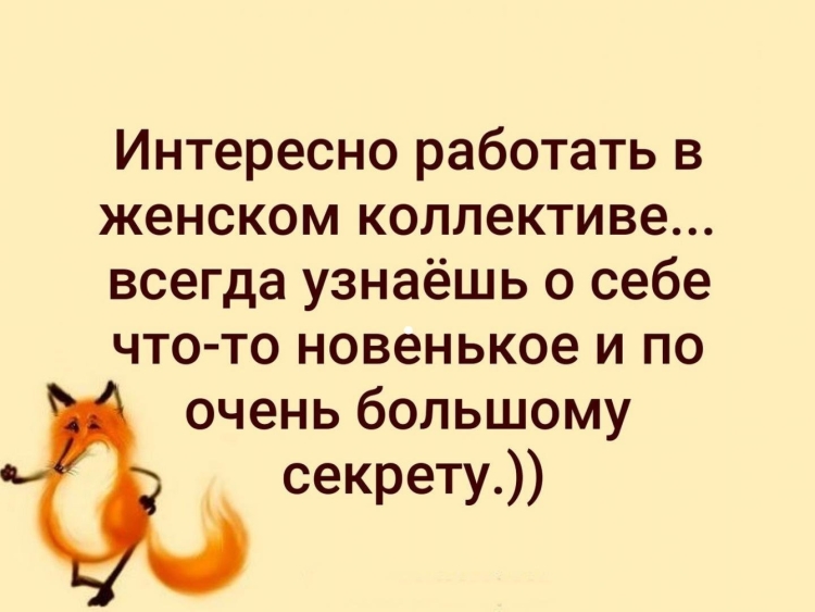Цитаты про женский коллектив