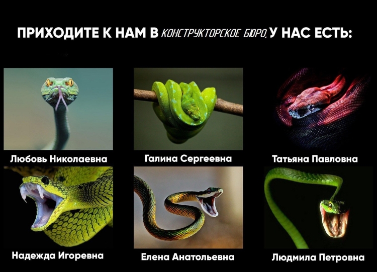 Серпентарий женский коллектив