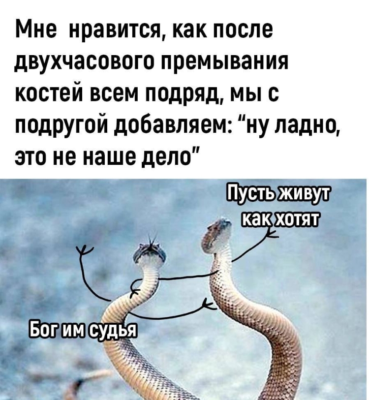 Наш дружный женский коллектив