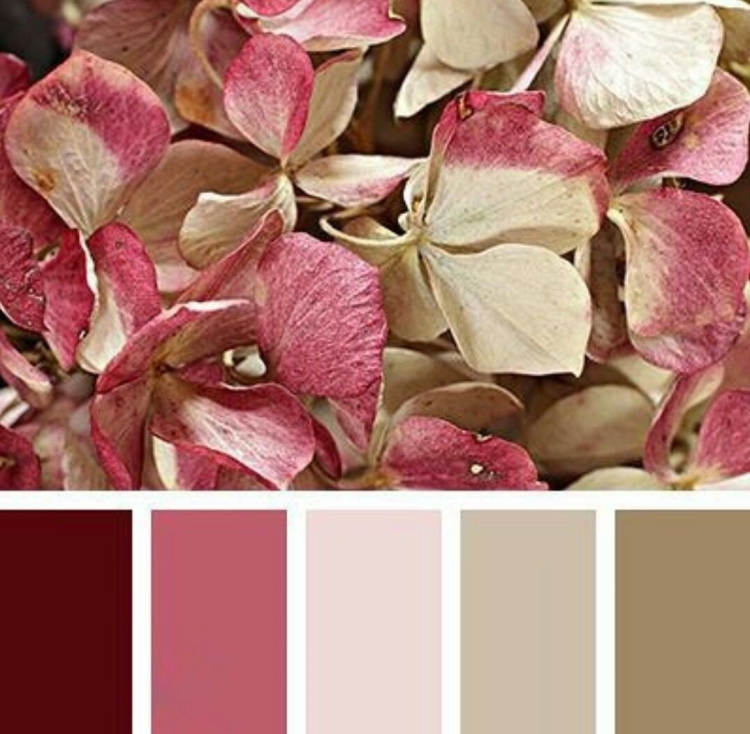 Цветовая палитра колор баланс