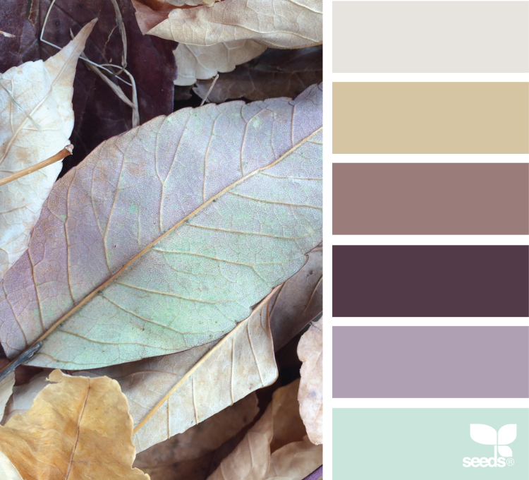 Сочетание серого в природе